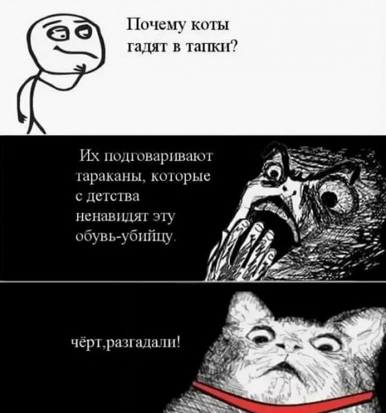 М̆̈ӗ̈м̆̈ы̆̈ п̆̈р̆̈о̆̈ к̆̈о̆̈т̆̈о̆̈в̆̈