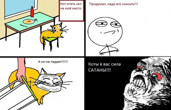 Мемы про котов