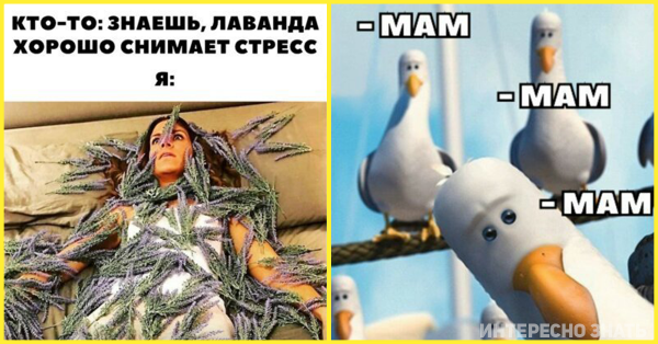 Стлесс Мем