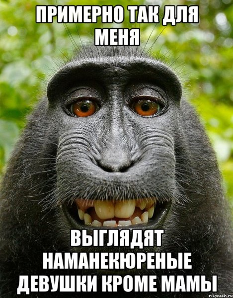 Анекдоты про рисование для детей