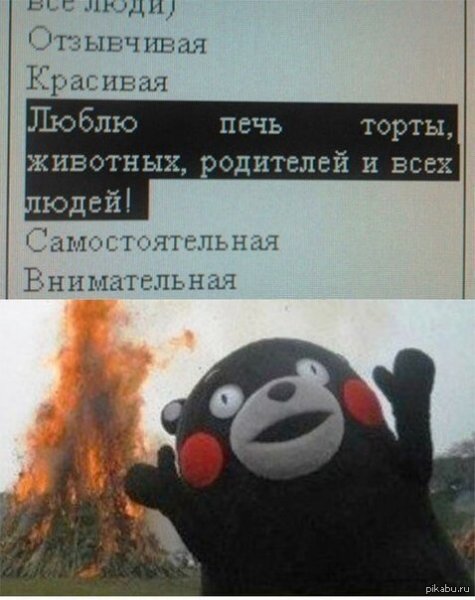 Кумамон сатанист