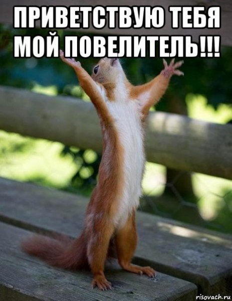 Боже помоги