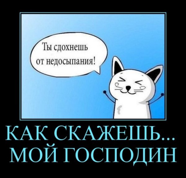 Мой господин