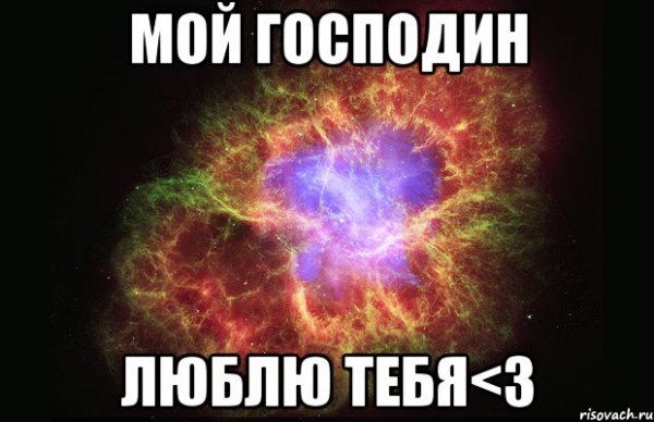 Люблю тебя мой господин
