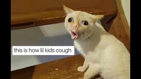 Кот кашляет Мем