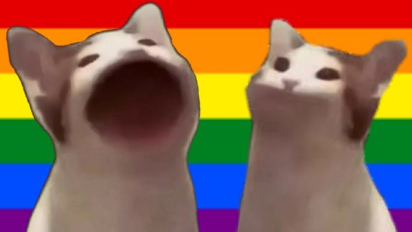 Popcat Мем