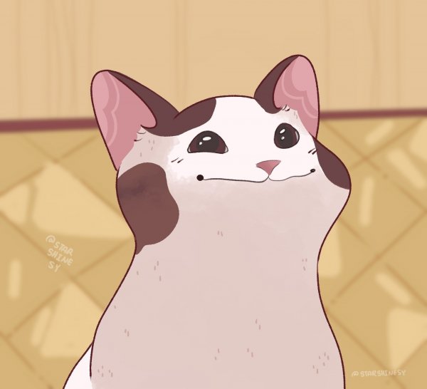 Popcat Мем