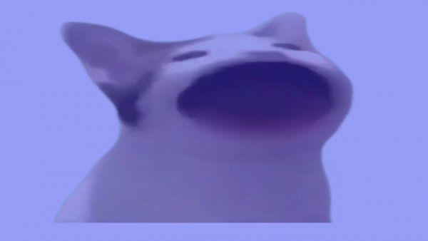 Кот с большим ртом Мем