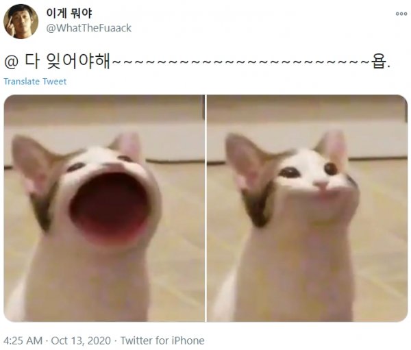 Кот с открытым ртом Мем