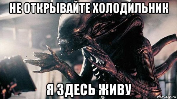 Проходите мимо проходите