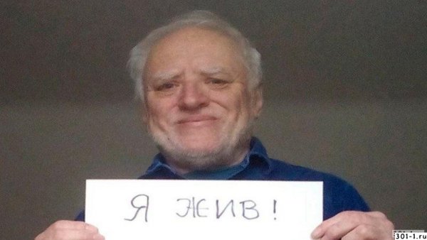 Лиса Мем