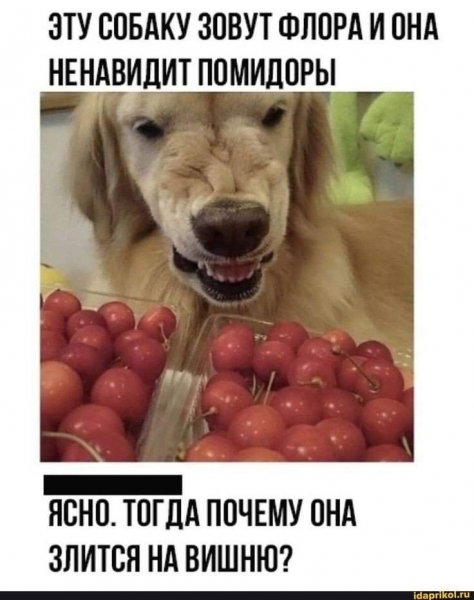 Я ненавижу помидоры