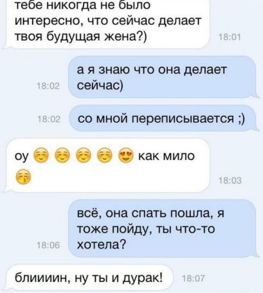 Смешные сообщения девушке для поднятия настроения