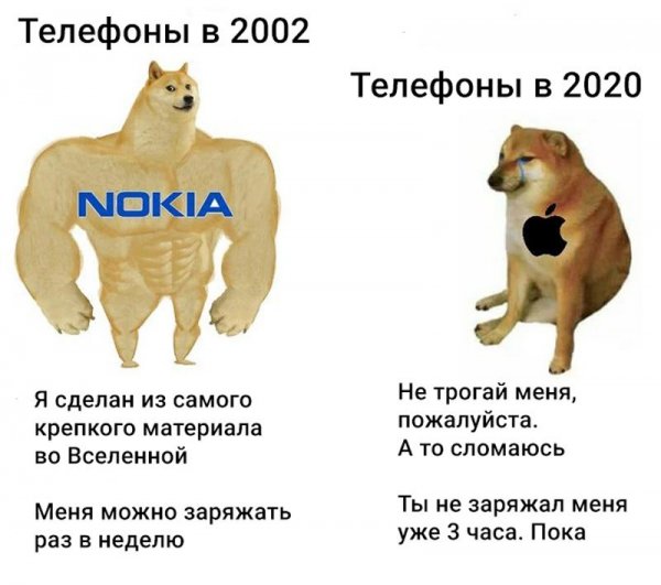 Пес качок Мем