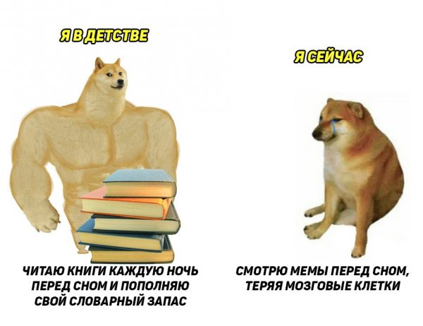 Пес качок Мем