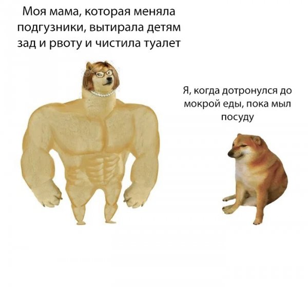 Мемы собака качок