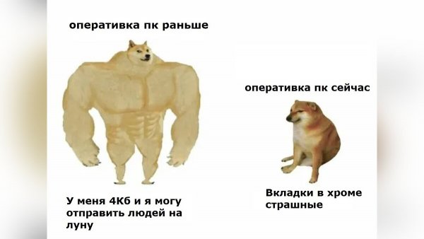 Накаченная соьачка Мем
