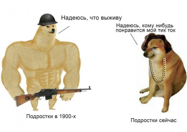 Качок доге и Чимс Мем