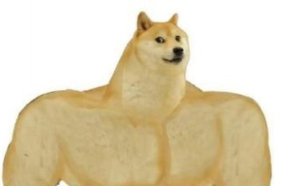 Качок доге и Чимс