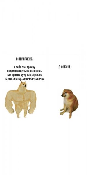 Doge качок мемы
