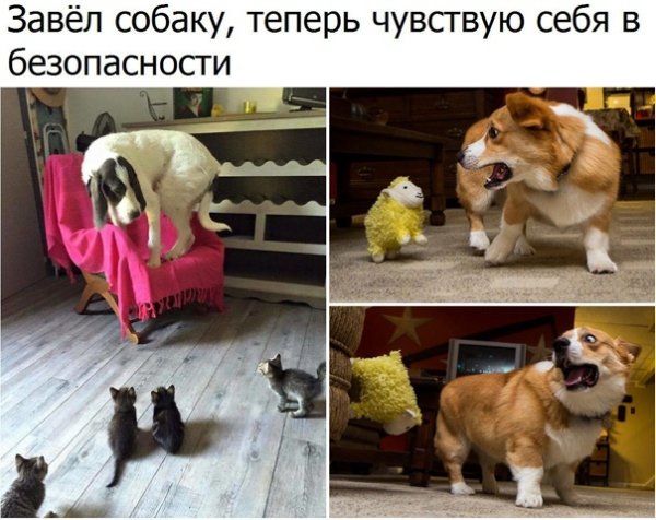 Большая и маленькая собака Мем