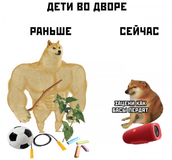 Мемы с накаченным псом