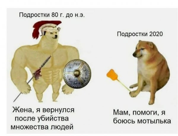 Собака качок Мем