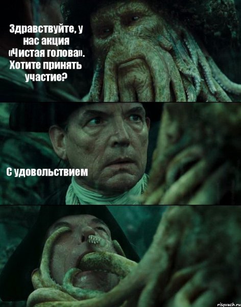 Новая Котоматрица
