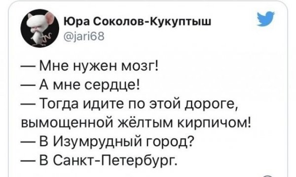Шутки и мемы про расчлененку в Питере