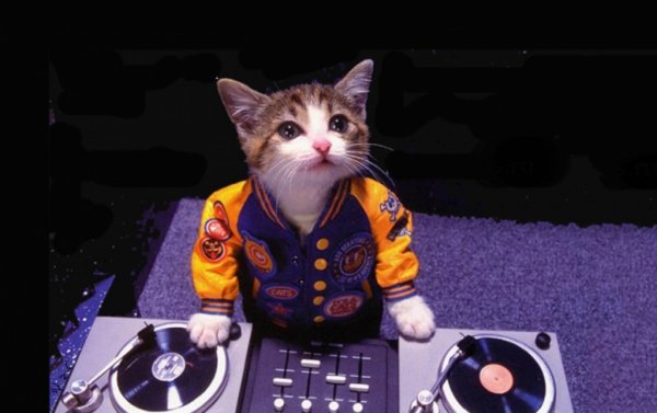 DJ мемы