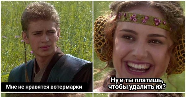 Энакин и Падме на пикнике