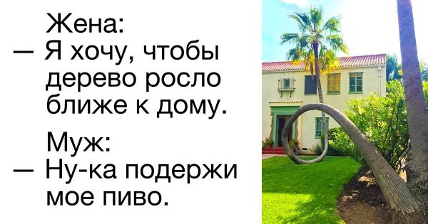 Мемы подержи мое пиво