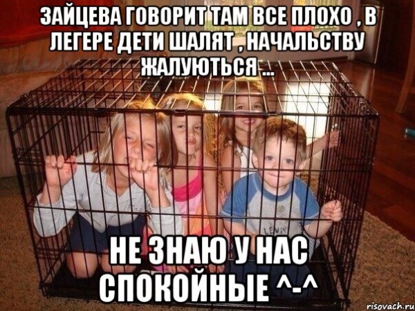 Клетка Мем