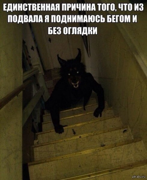 Мальчики в подвальчике
