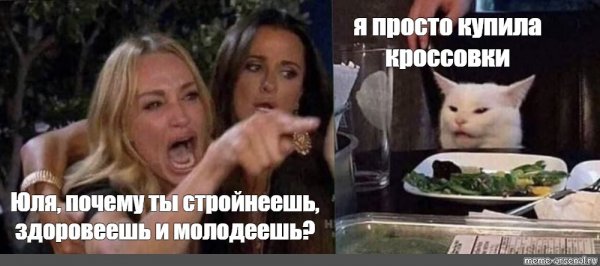 Недовольный кот за столом