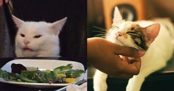 Мем с котом за столом