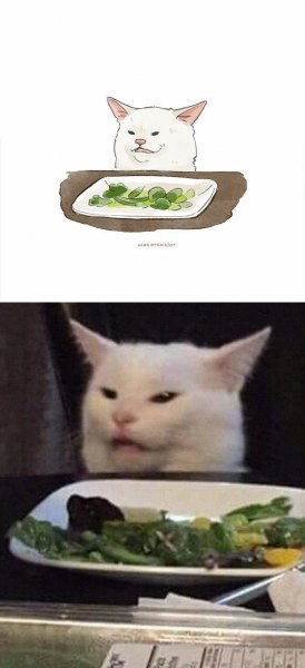 Недовольный кот за столом
