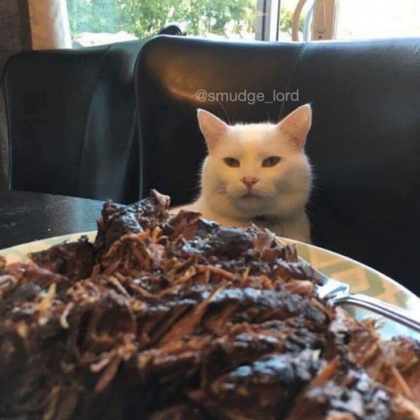 Мем с котом за столом