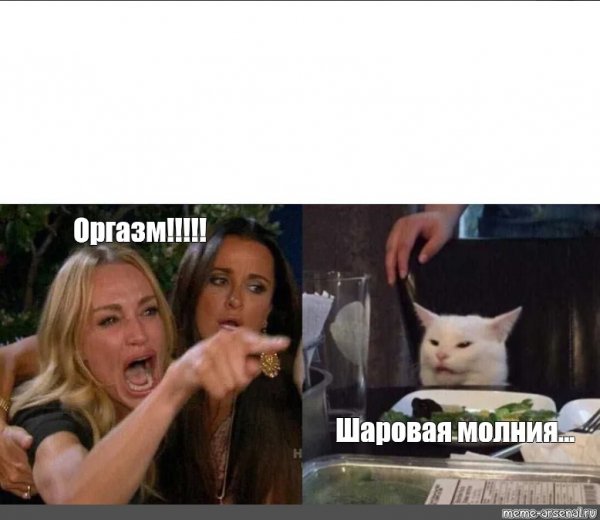 Белый кот за столом