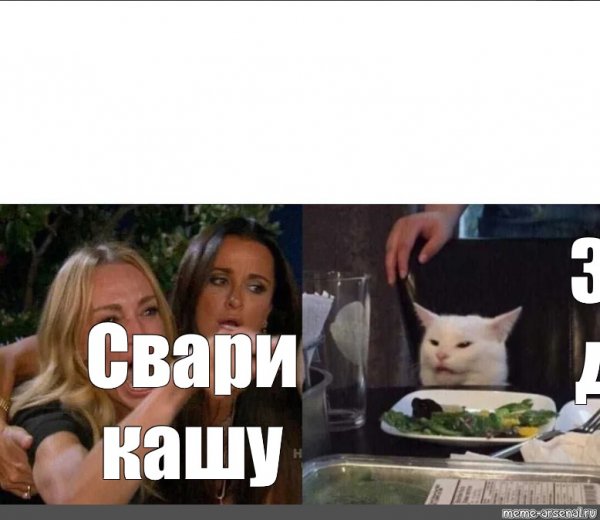 Белый кот за столом