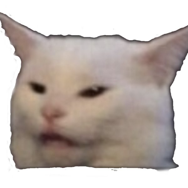 Недовольный кот Мем за столом