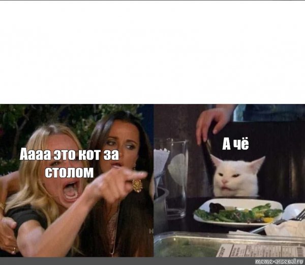 Мем с белым котом за столом