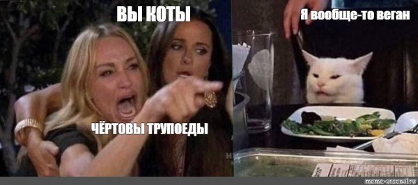 Мем с котом за столом