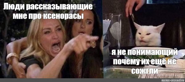 Мем с котом за столом и девушками