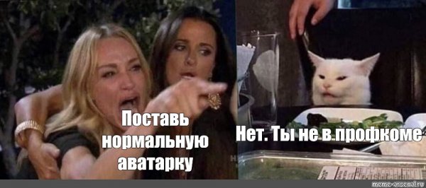 Кот с тарелкой овощей