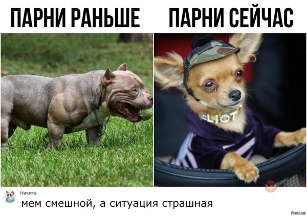 Мем смешной ситуация