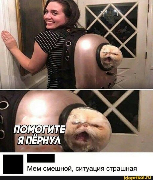Прикол смешной а ситуация страшная
