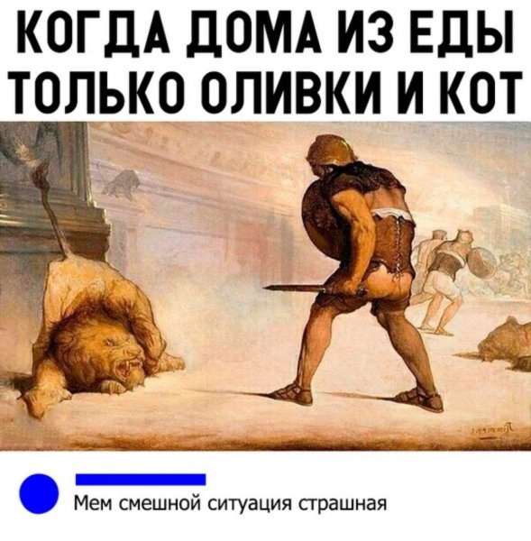 Кот оливки Мем