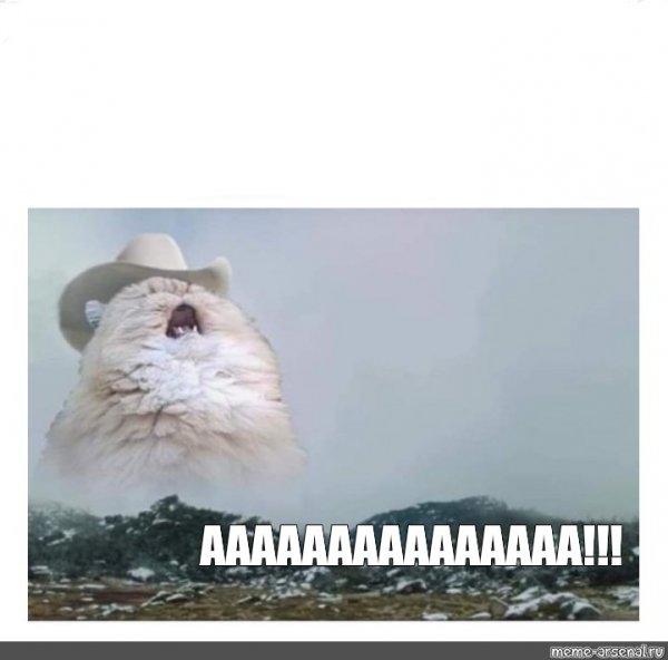 Кричащий кот Мем