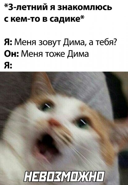 Кот кричит в панике